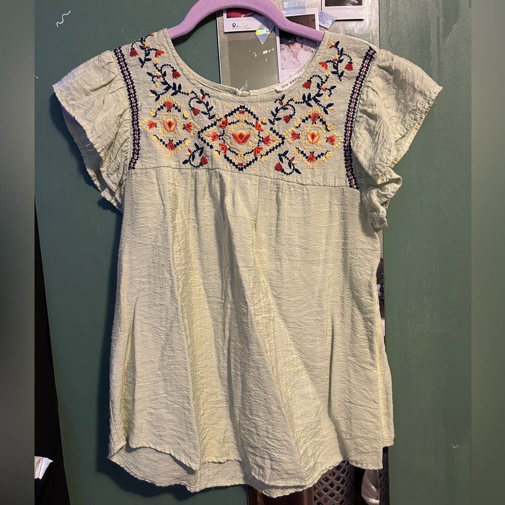 Embroidered Short-Sleeve light green Blouse